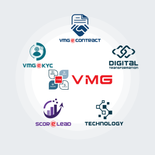 The VMG ecosystem